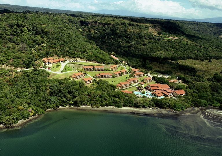 Allegro Papagayo